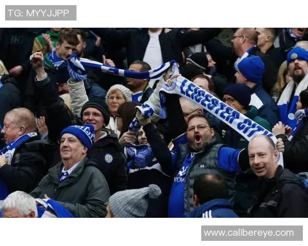 挪威足球明星阵容全景展示与精彩瞬间回顾